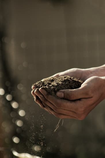 Simple Irrigation Methods for Small Farms